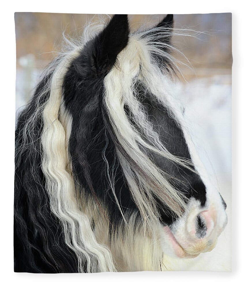 Horse Fleece Blanket featuring the photograph Gypsy Vanner Horse Head Shot, Long Mane by Catnap72