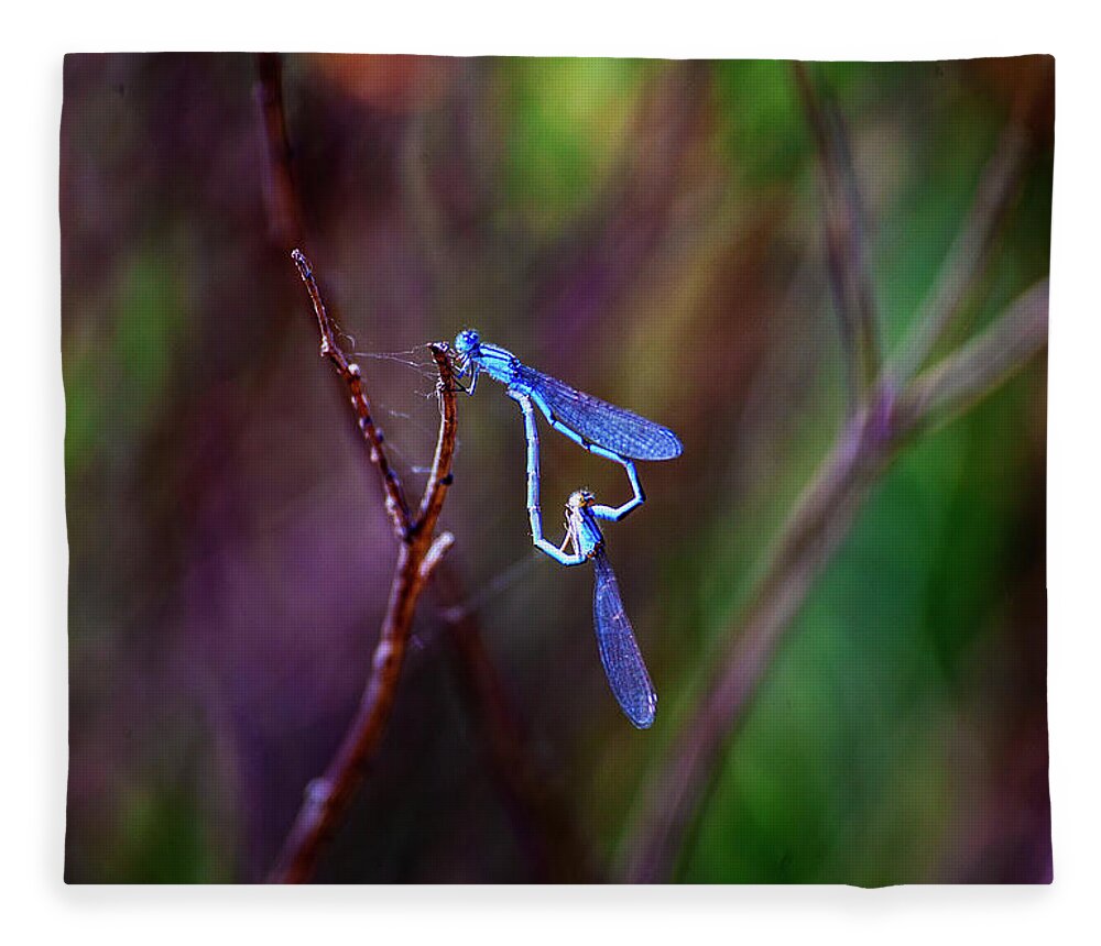 Dragonfly Fleece Blanket featuring the photograph Heart of Dragonfly by Anthony Jones