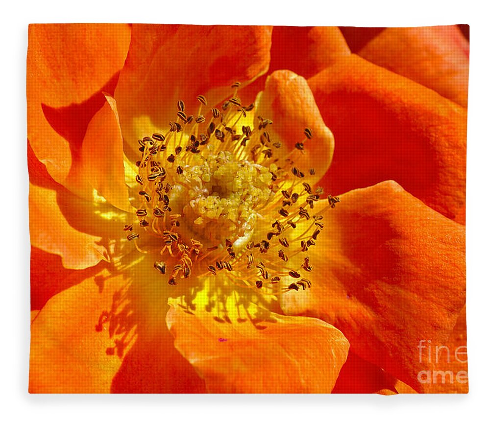 Rose Fleece Blanket featuring the photograph Heart Of The Orange Rose by Joy Watson