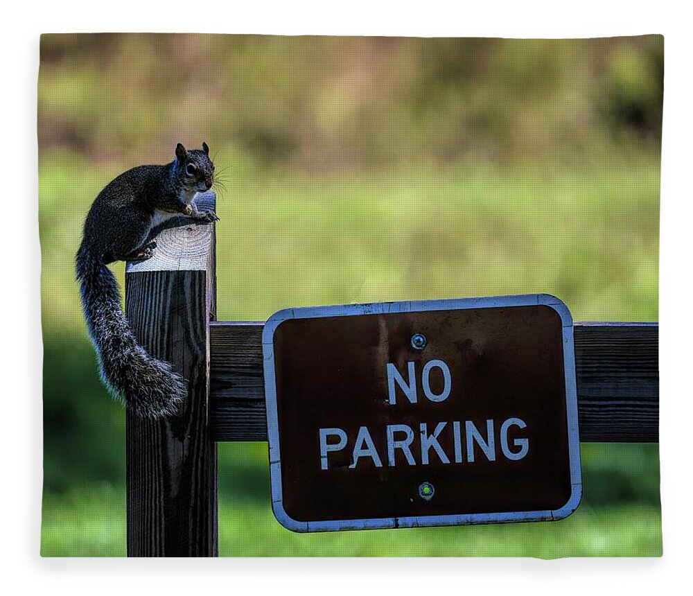 Florida Fleece Blanket featuring the photograph Hey Squirrel No Parking by T Lynn Dodsworth