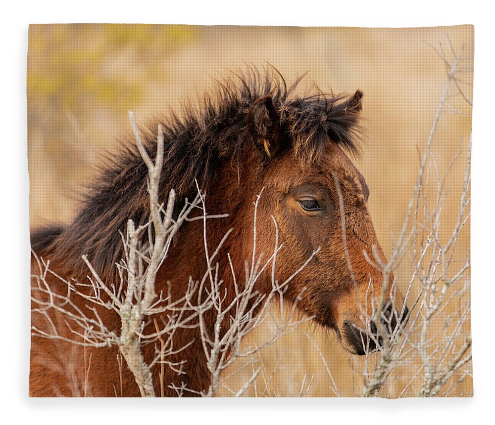 Animals Fleece Blanket featuring the photograph Hidden Filly by Donna Twiford