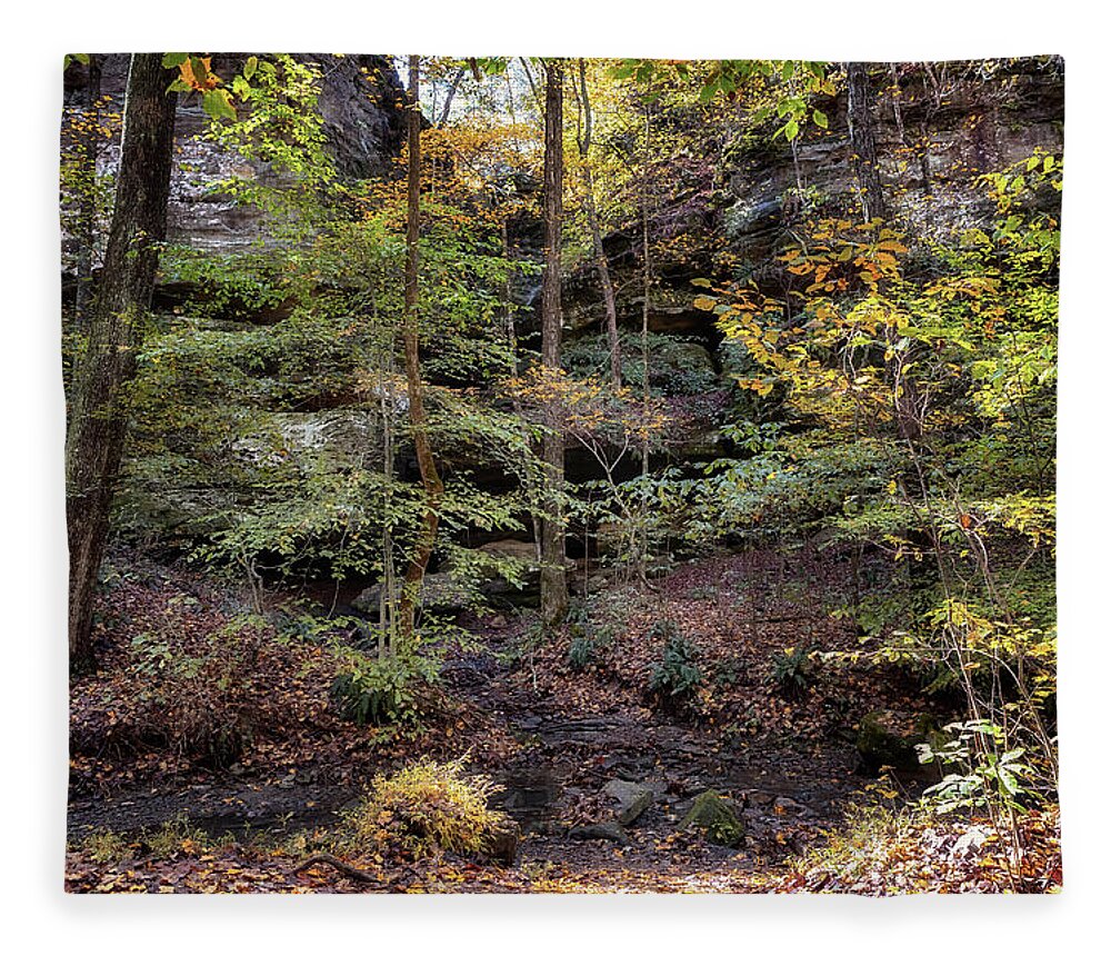 Ferne Clyffe Fleece Blanket featuring the photograph Hidden Grotto by Susan Rissi Tregoning