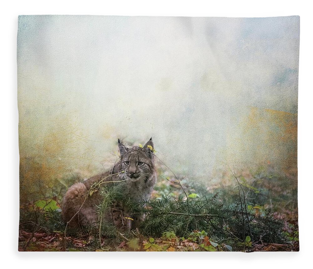 Kid Fleece Blanket featuring the mixed media Hide and Seek by Eva Lechner