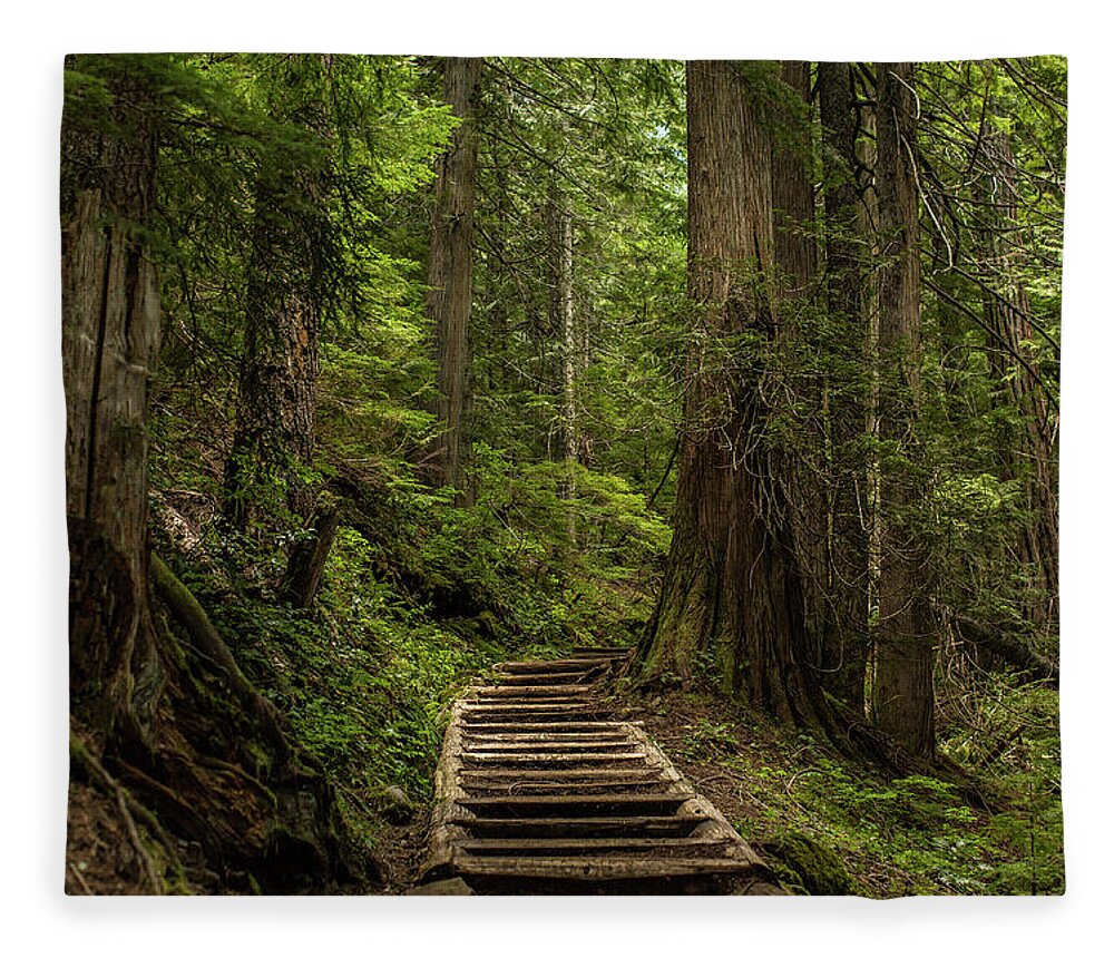 Hiking Trail Fleece Blanket featuring the photograph Hiking in Mt. Rainier, Washington by Julieta Belmont