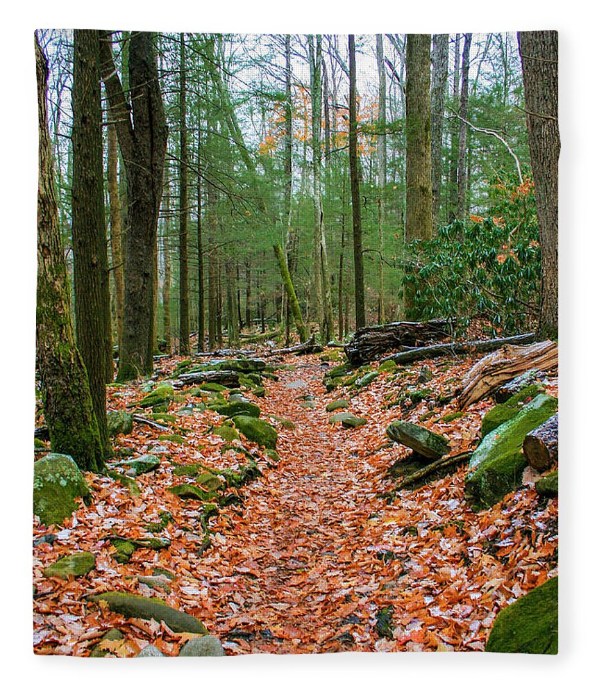 Photo For Sale Fleece Blanket featuring the photograph Hiking Trail in Autumn by Robert Wilder Jr