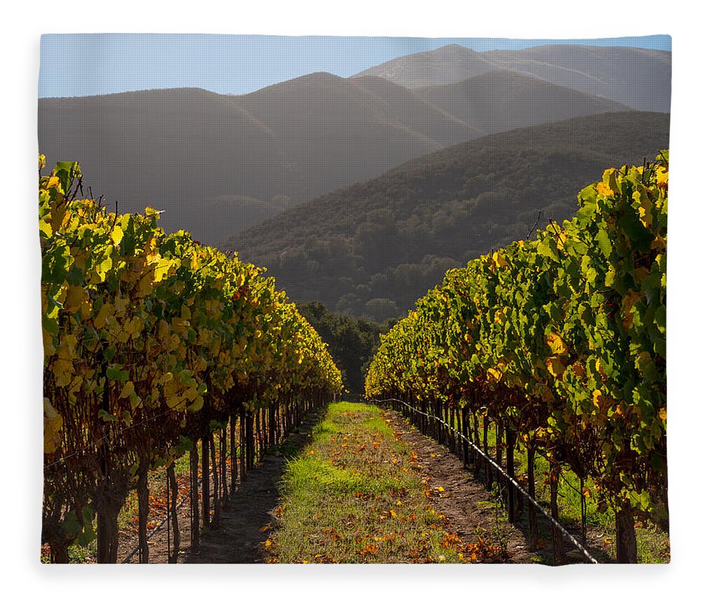 Vineyard Fleece Blanket featuring the photograph Hillside Vineyard by Derek Dean