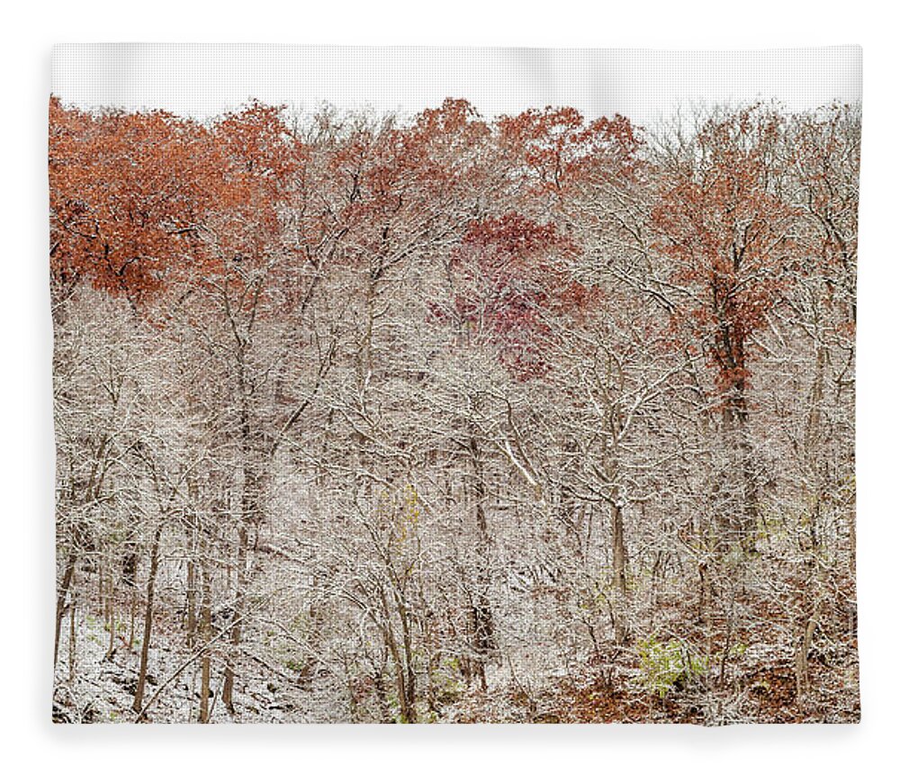 Trees Fleece Blanket featuring the photograph Holding Onto Fall by Tamara Becker