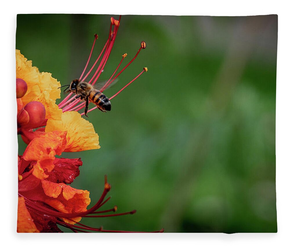 Pride Of Barbados Fleece Blanket featuring the photograph Honey Bee Extraction by G Lamar Yancy