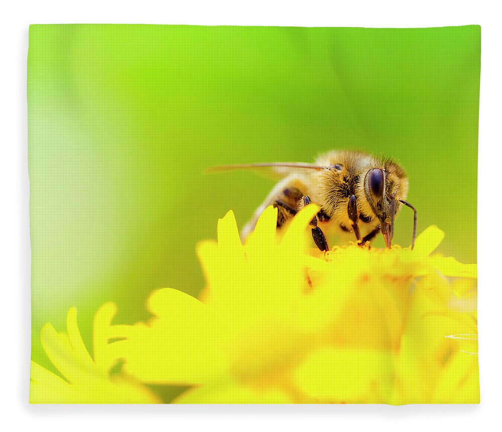 Grass Fleece Blanket featuring the photograph Honey Bee Pollinating Plant In Meadow by Pawel.gaul