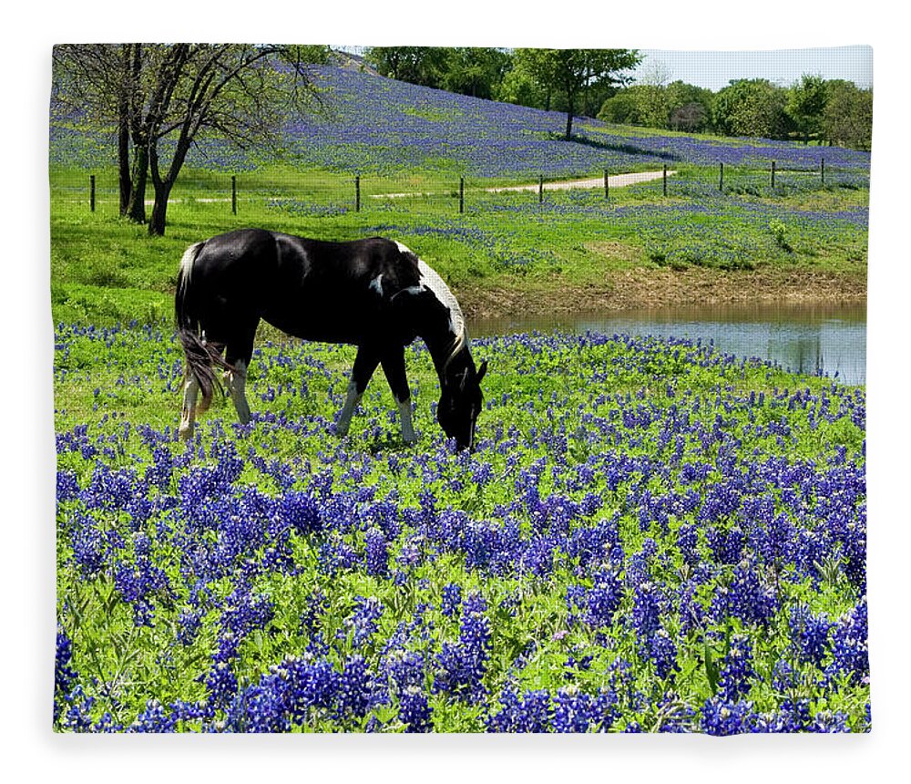 Horse Fleece Blanket featuring the photograph Horse In Bluebonnet Meadow by Hartcreations