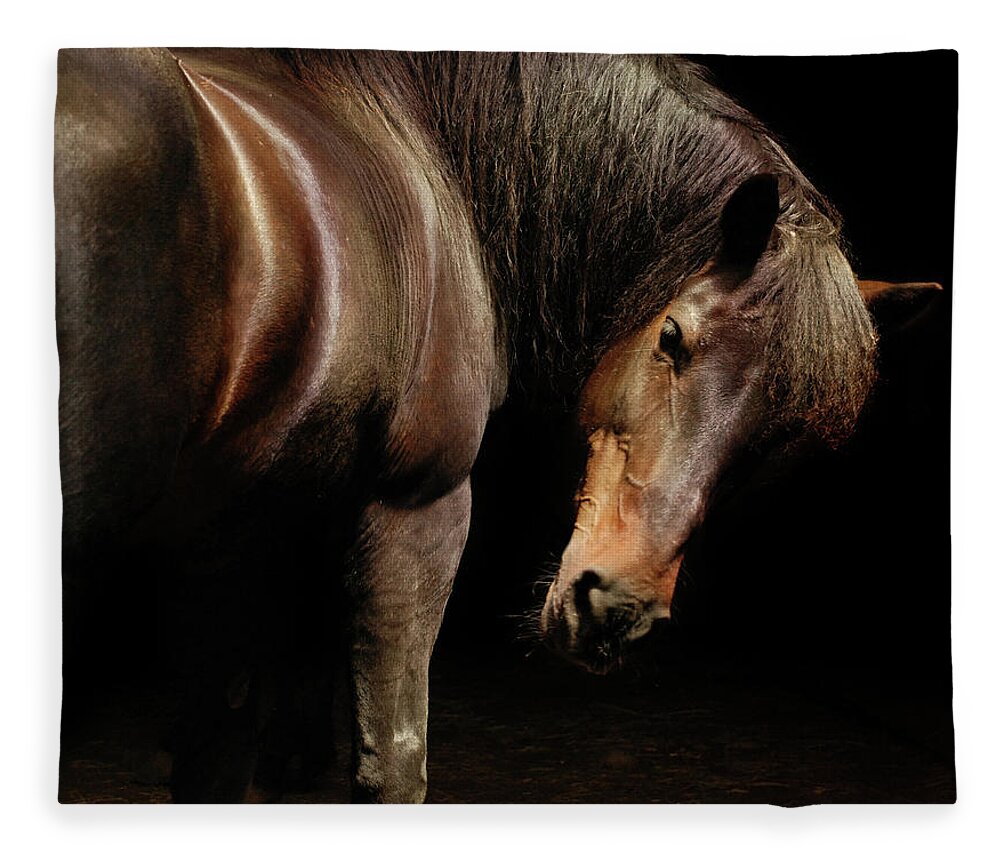 Horse Fleece Blanket featuring the photograph Horse Looking Over Shoulder by Anne Louise Macdonald Of Hug A Horse Farm
