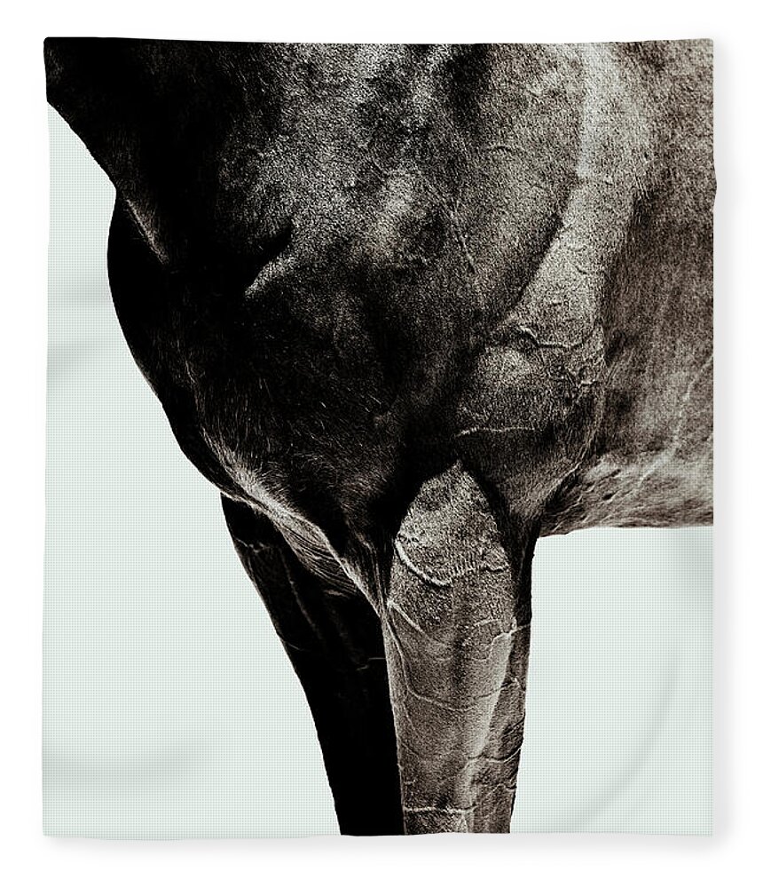 Horse Fleece Blanket featuring the photograph Horse by Yusuke Murata