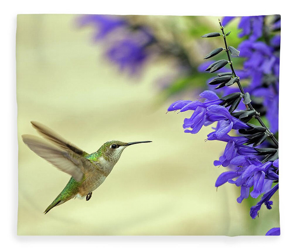 Hummingbird Fleece Blanket featuring the photograph Hummers in Longfellow Gardens by Natural Focal Point Photography