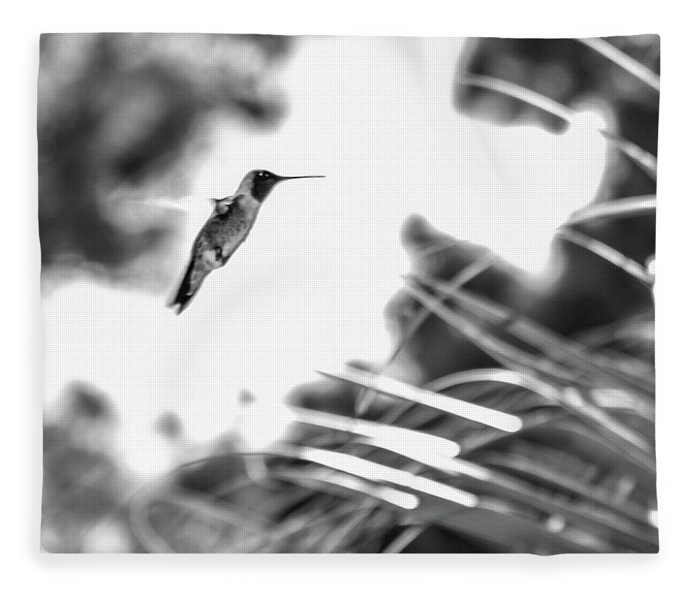 Photograph Fleece Blanket featuring the photograph Humminbird in Black and White by Kelly Thackeray