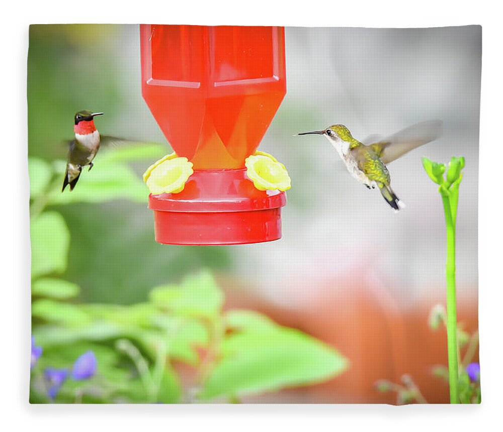 Red Throated Fleece Blanket featuring the photograph Humming Birds by Michelle Wittensoldner