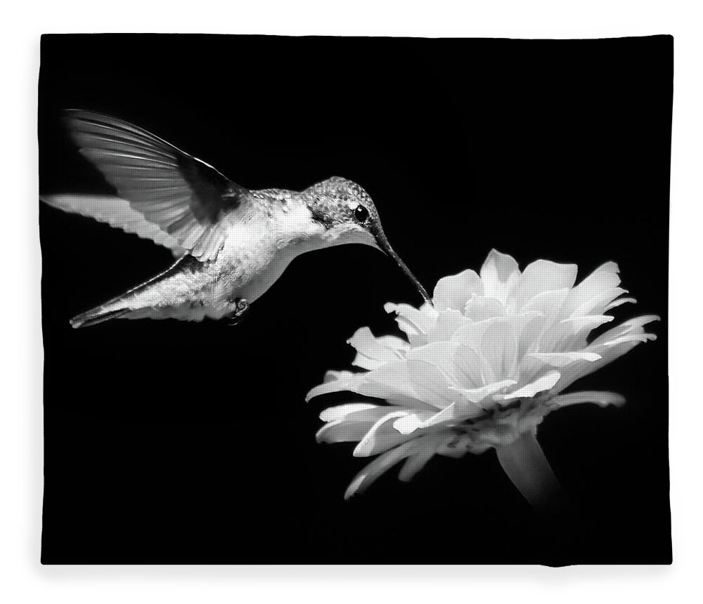 Hummingbird Fleece Blanket featuring the photograph Hummingbird And Flower Black And White by Christina Rollo