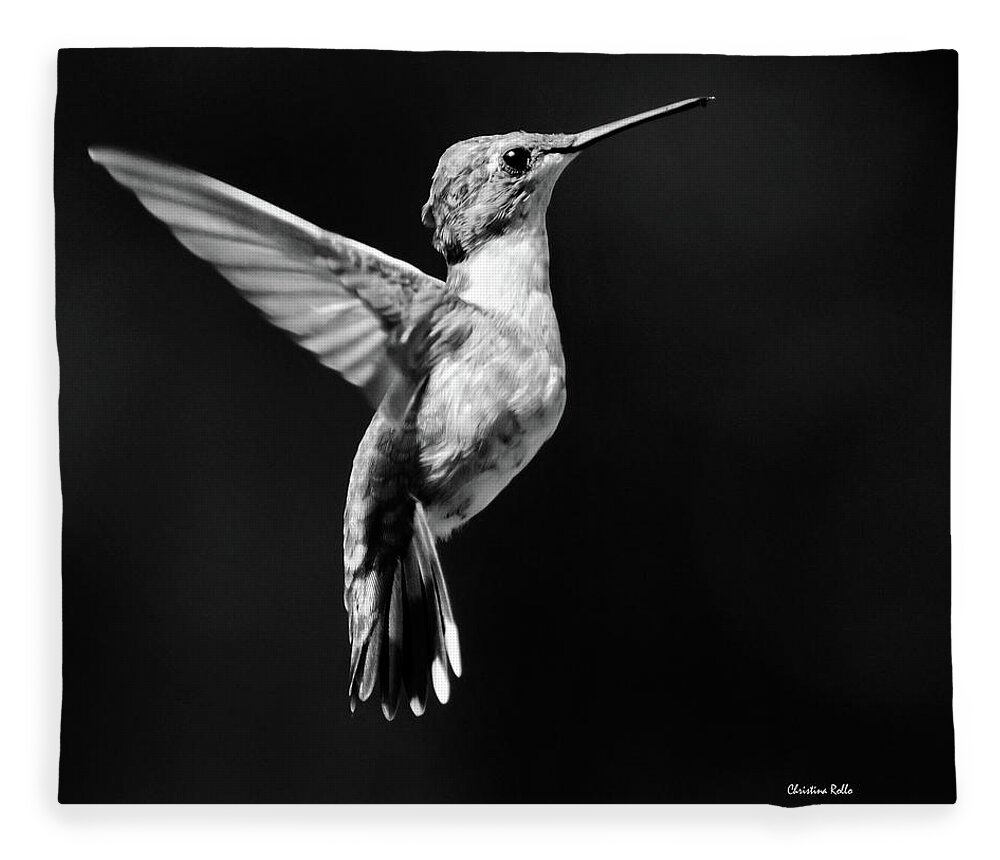 Hummingbird Fleece Blanket featuring the photograph Hummingbird Wings Up Square Bw by Christina Rollo