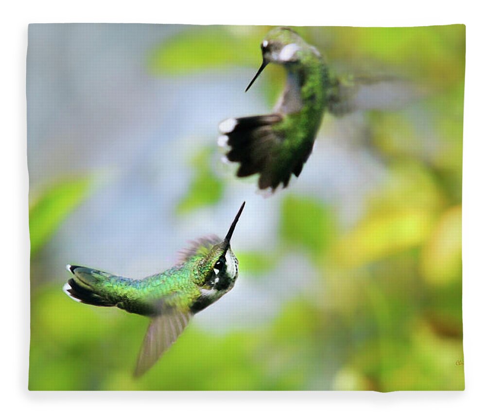 Hummingbirds Fleece Blanket featuring the photograph Hummingbirds Ensuing Battle by Christina Rollo