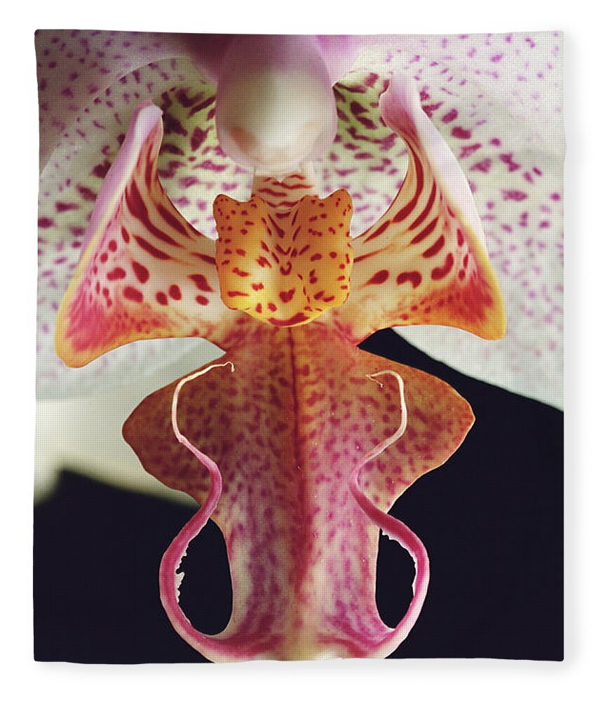 Black Background Fleece Blanket featuring the photograph Hybrid Orchid Phalaenopsis Sp., Close-up by Sami Sarkis
