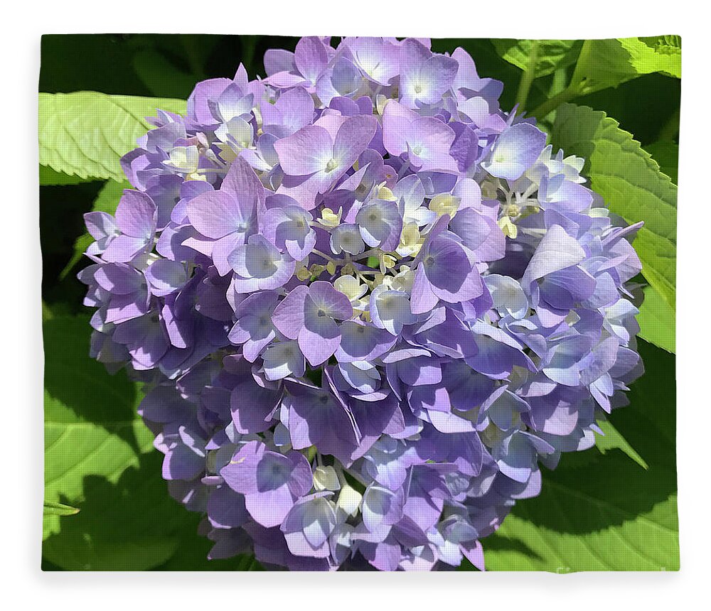 Hydrangea Fleece Blanket featuring the photograph Hydrangea 8 by Amy E Fraser