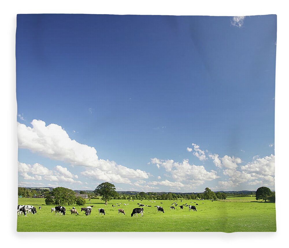 Grass Fleece Blanket featuring the photograph Idyllic Farm Pastures by R-j-seymour