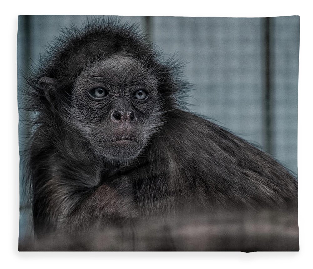 Animal Fleece Blanket featuring the photograph If You're Feeling Sinister by Rabiri Us