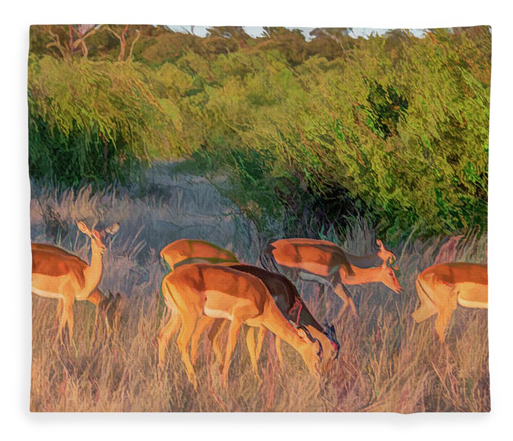 Impala Fleece Blanket featuring the photograph Impalas of Botswana, Painterly by Marcy Wielfaert