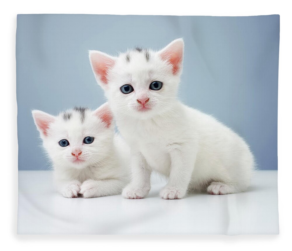 Pets Fleece Blanket featuring the photograph Inquisitive Twin Kittens by Anthony Bradshaw