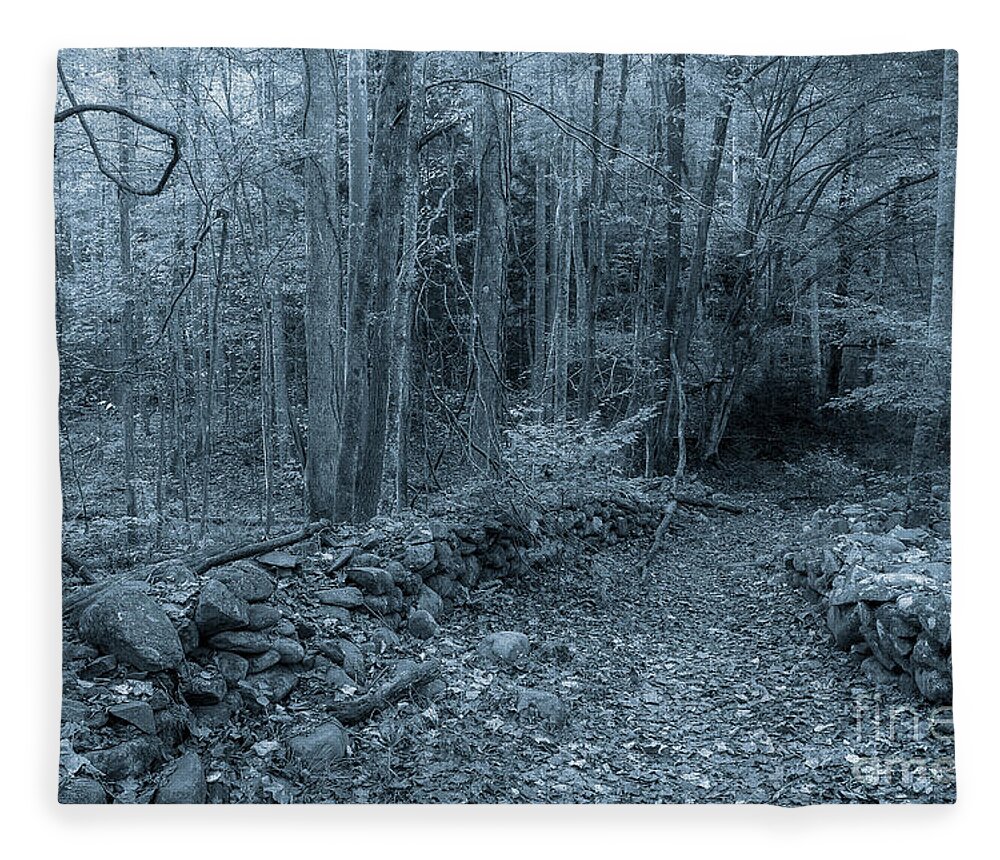  Stone Walls Fleece Blanket featuring the photograph Is This The Way by Mike Eingle