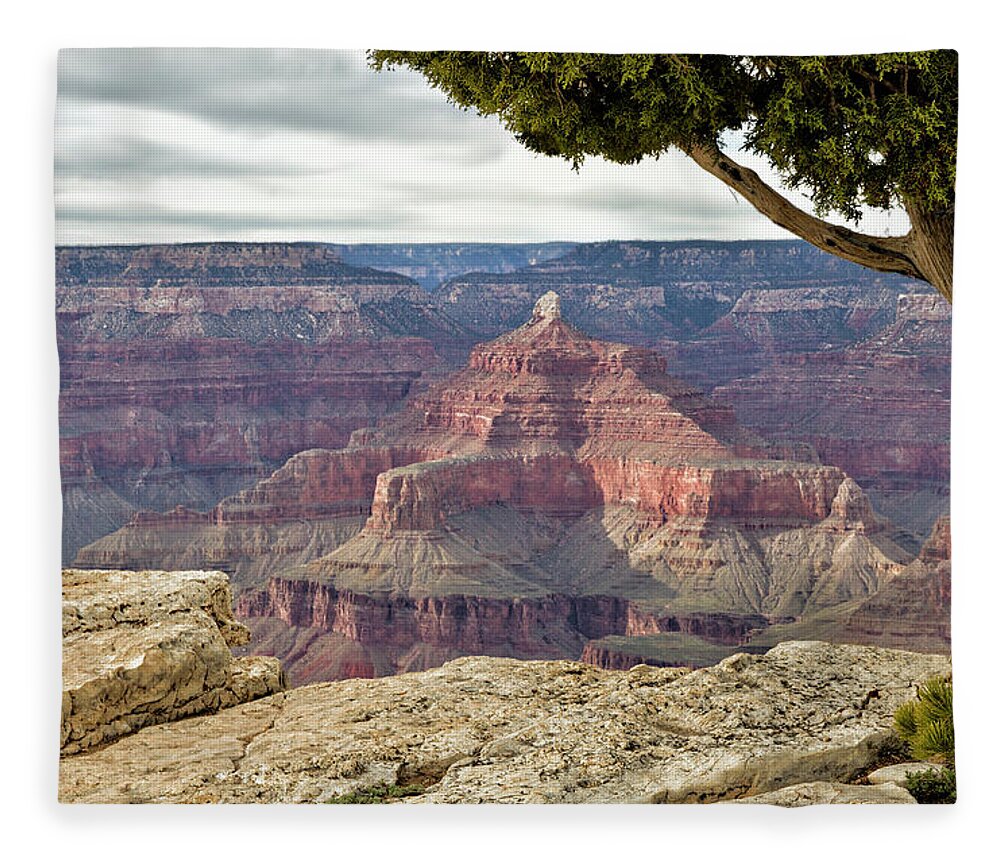 Landscape Fleece Blanket featuring the photograph Isis Temple Grand Canyon by Robert Woodward