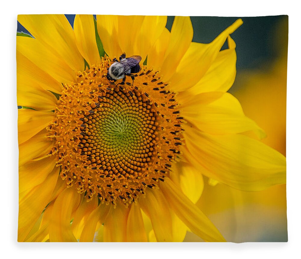 Sunflower Fleece Blanket featuring the photograph It's a Good Day by Linda Bonaccorsi