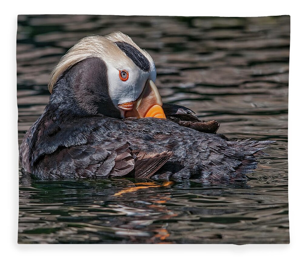 Puffin Fleece Blanket featuring the photograph I've Got My Eye on You by Wade Aiken