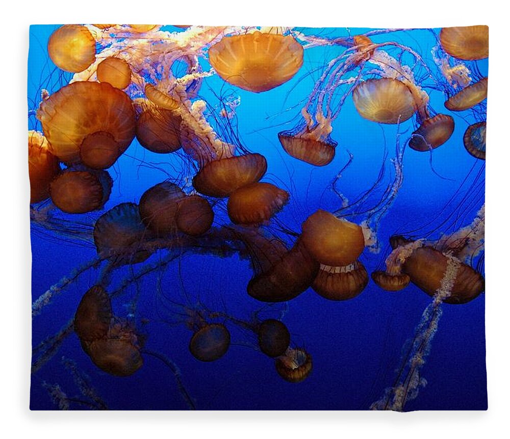 Underwater Fleece Blanket featuring the photograph Jellies by Shyam Mani