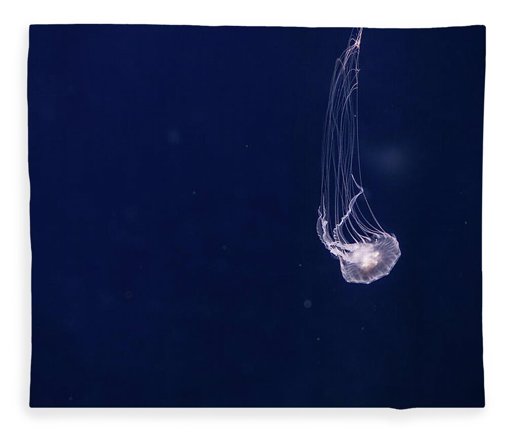 Underwater Fleece Blanket featuring the photograph Jellyfish Dives by Tyler Finck Www.sursly.com