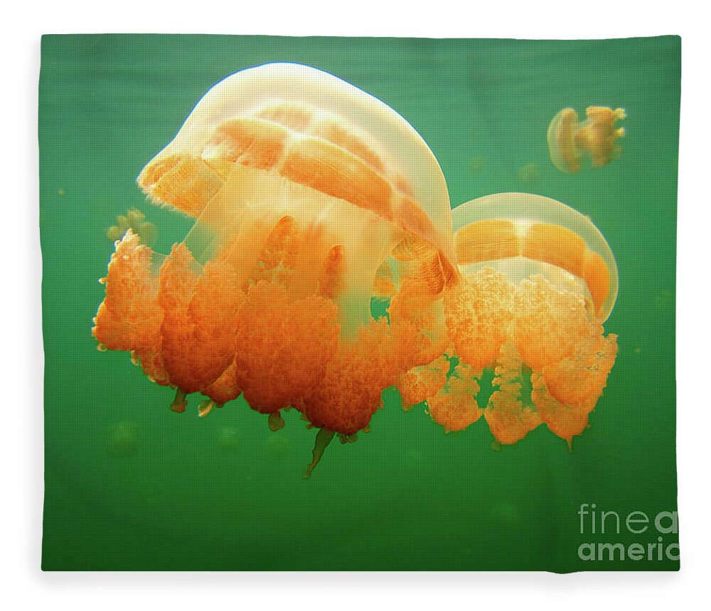 Jellyfish Fleece Blanket featuring the photograph Jellyfish Love by Becqi Sherman
