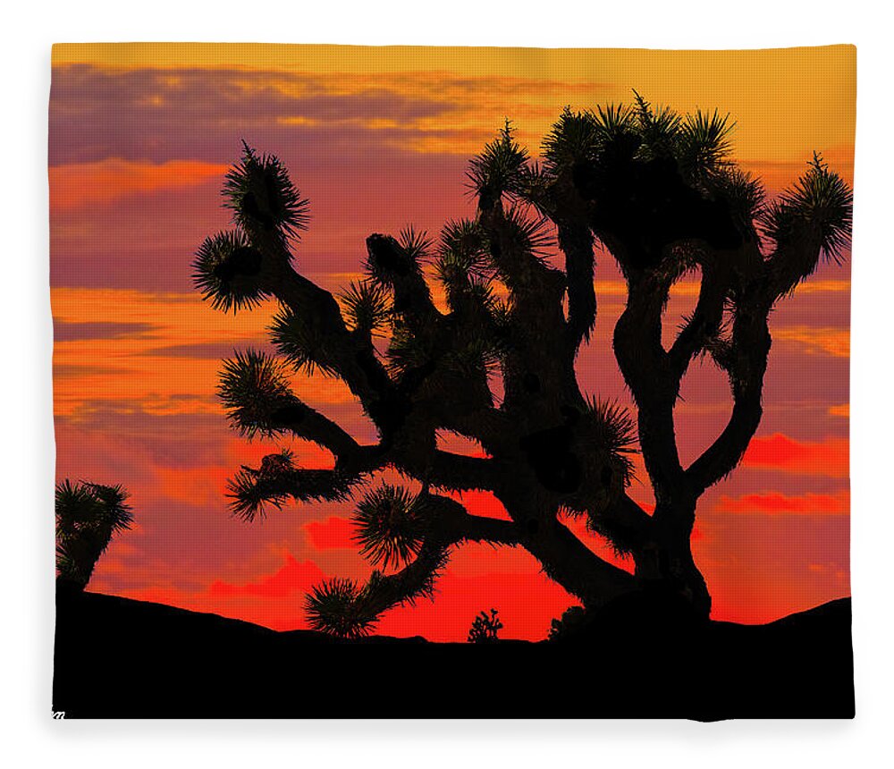 Arid Climate Fleece Blanket featuring the photograph Joshua Tree at Sunset by Jeff Goulden