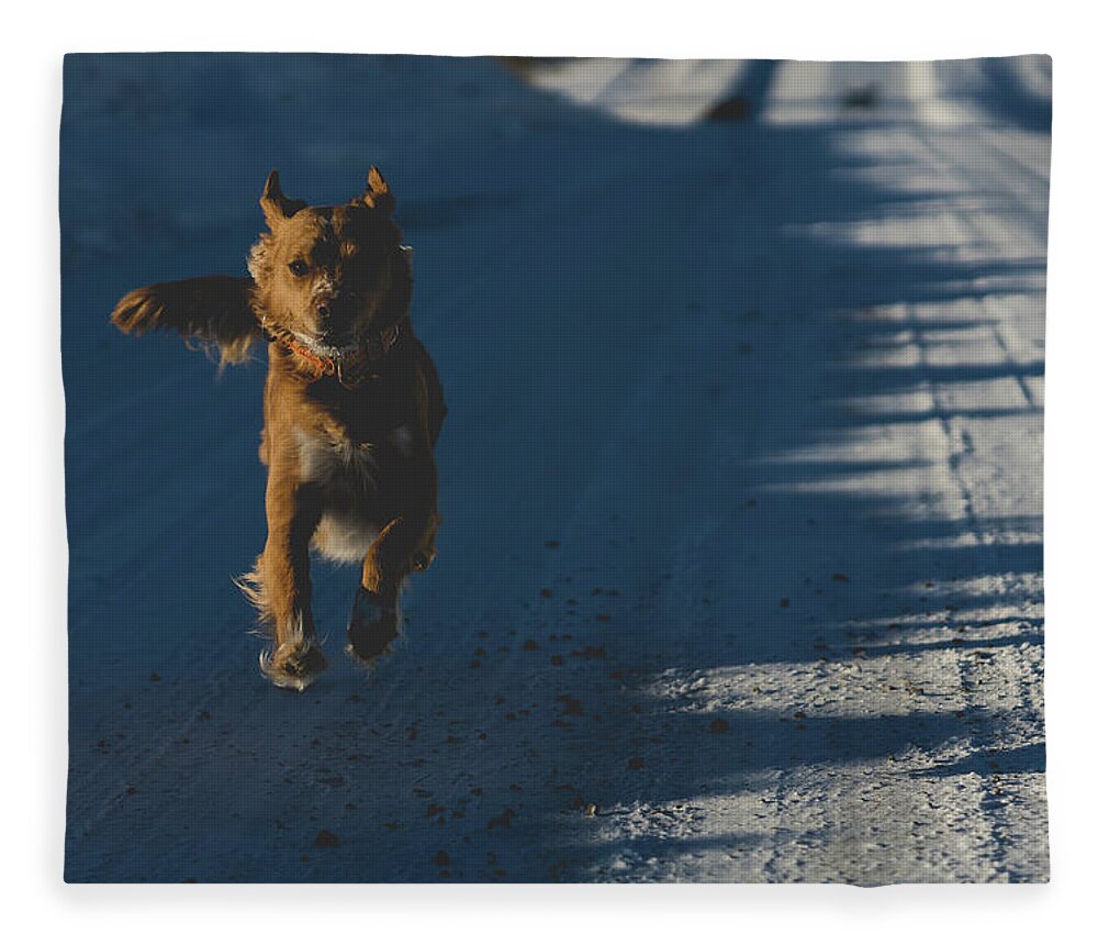 Dog Fleece Blanket featuring the photograph Joyful dog by Julieta Belmont