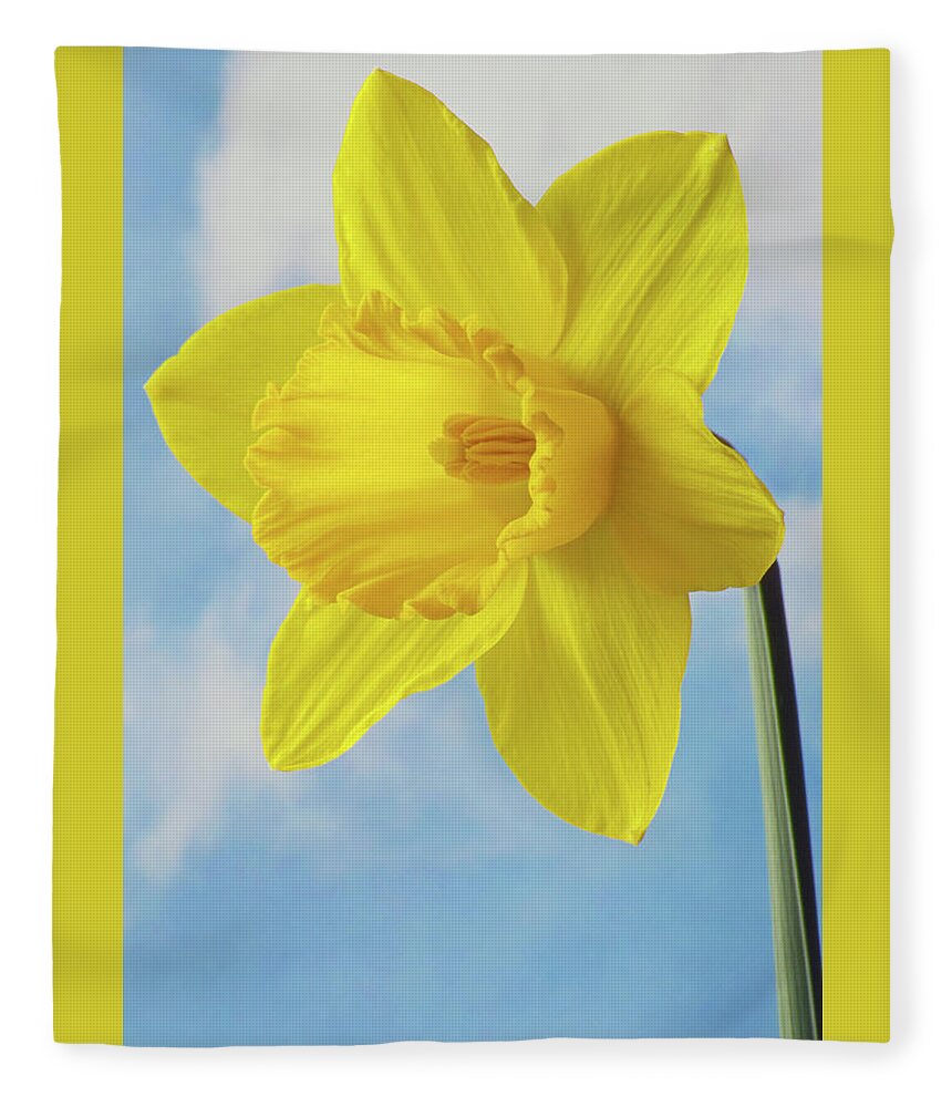 Daffodils Fleece Blanket featuring the photograph Joys of Spring by Terence Davis