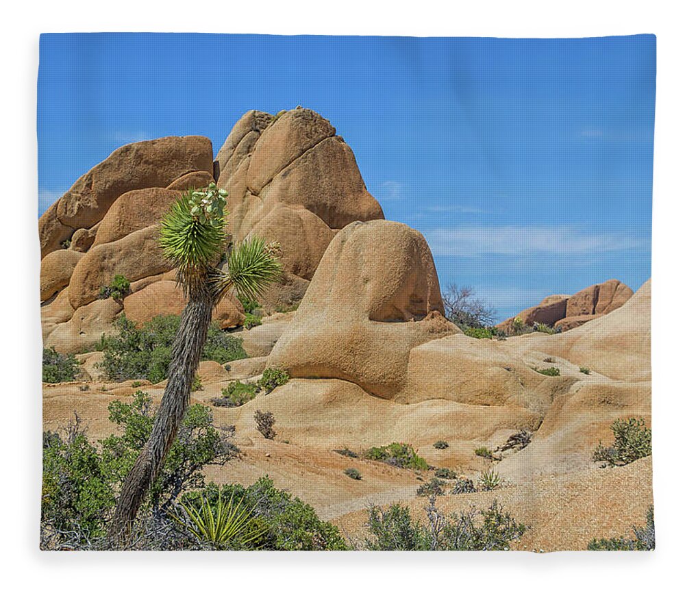 Joshua Tree National Park Fleece Blanket featuring the photograph Jumbo Rocks Landscape by Marisa Geraghty Photography