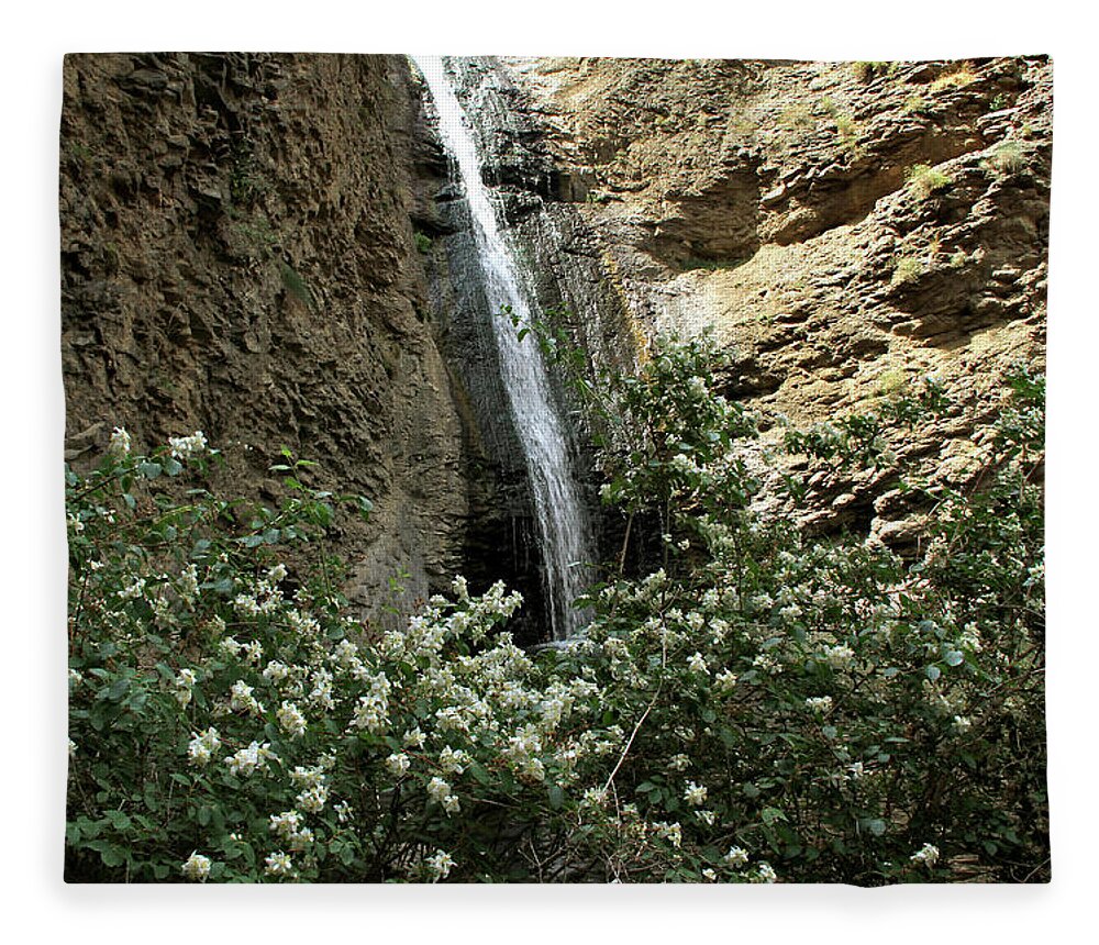 Owyhee Canyonlands Fleece Blanket featuring the photograph Jump Creek Falls Canyon by Ed Riche