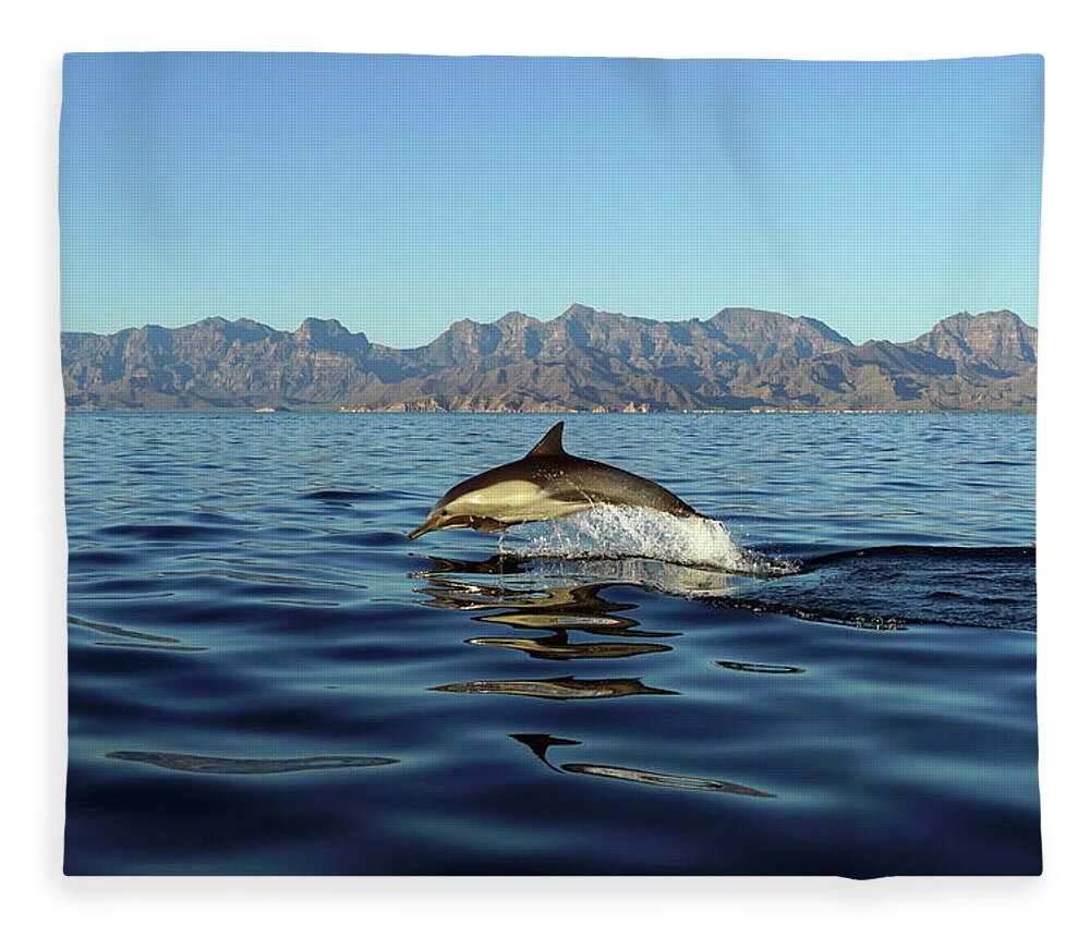 00640563 Fleece Blanket featuring the photograph Jumping Long Beaked Dolphin by Hiroya Minakuchi
