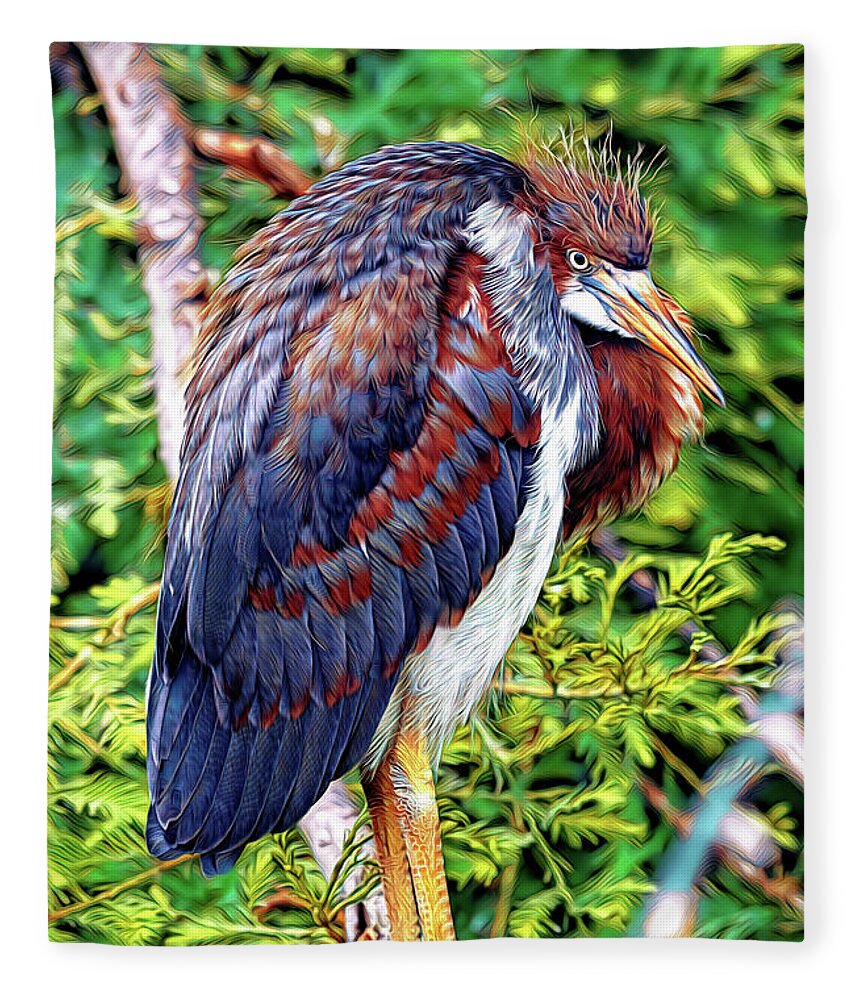 Herons Fleece Blanket featuring the mixed media Juvenile Tricolored Heron Art by DB Hayes