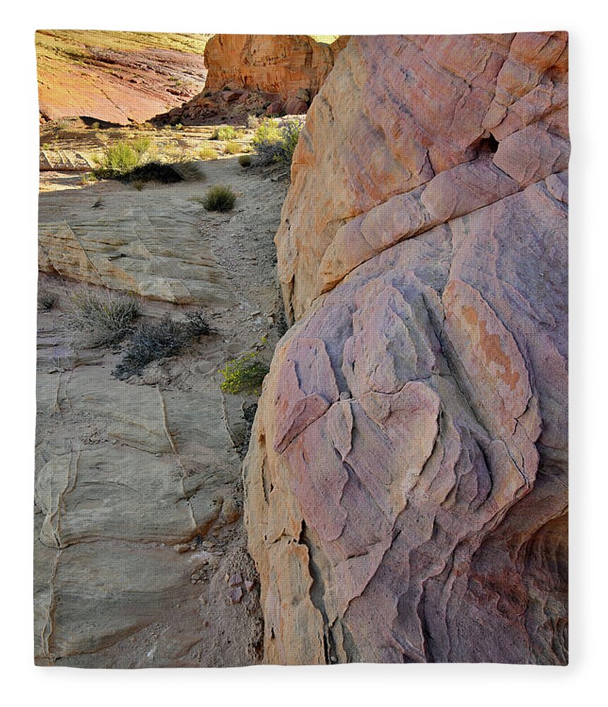 Valley Of Fire State Park Fleece Blanket featuring the photograph Kaleidoscope of Color in Valley of Fire by Ray Mathis