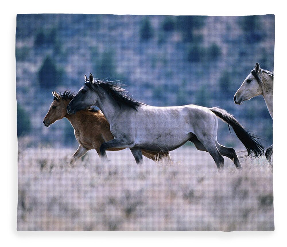 Horse Fleece Blanket featuring the photograph Kiger Mustang Wild Horses, United by Mark Newman