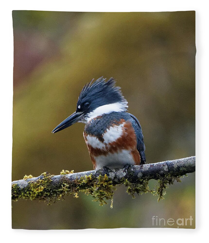 Kingfisher Fleece Blanket featuring the photograph Kingfisher by Sue Harper