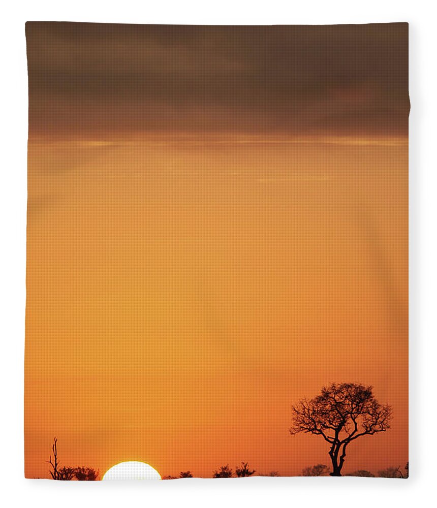 Scenics Fleece Blanket featuring the photograph Kruger Park In Mpumalanga, South Africa by Davidcallan