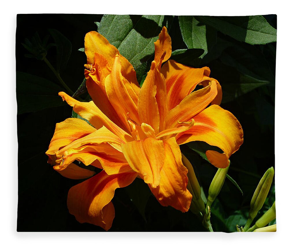 Orange Daylily Fleece Blanket featuring the photograph Kwanso Double Orange Heirloom Daylily by Mike McBrayer