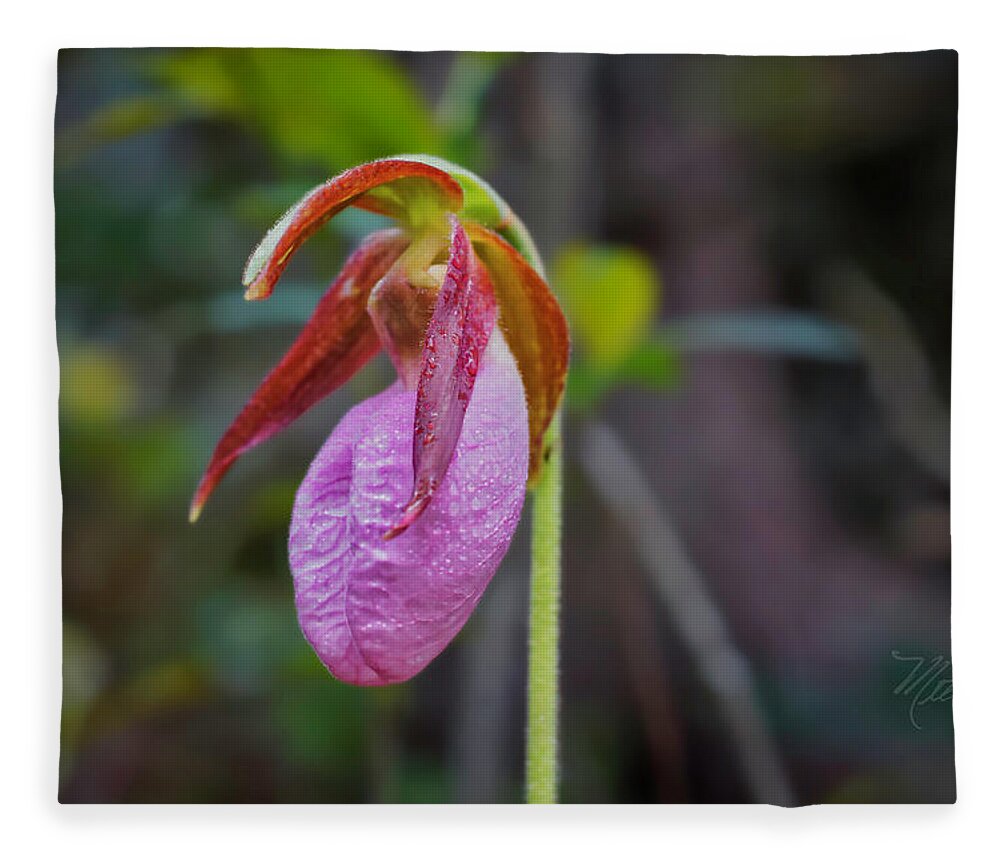 Macro Photography Fleece Blanket featuring the photograph Lady Slipper Orchid by Meta Gatschenberger