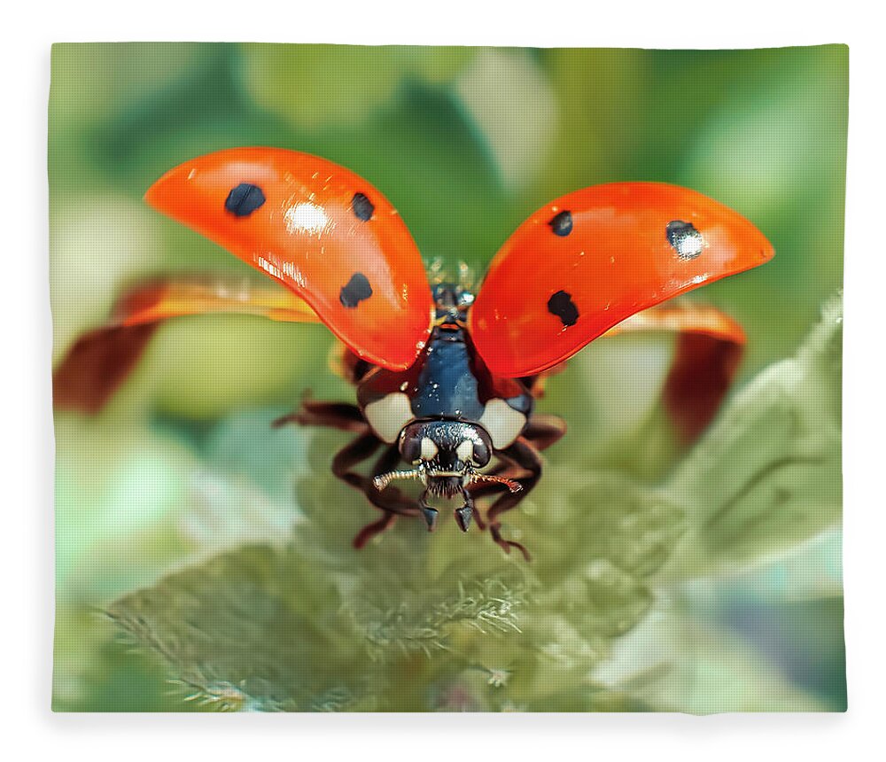 Mor Due dommer Ladybug Take Off Fleece Blanket by Ivan Stoyneshki - Pixels