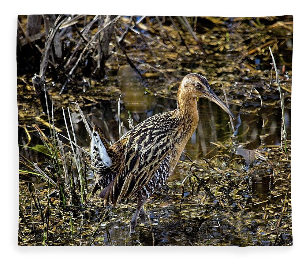 Savannah River Nwr Fleece Blanket featuring the photograph Largest North American Rail by Ronald Lutz